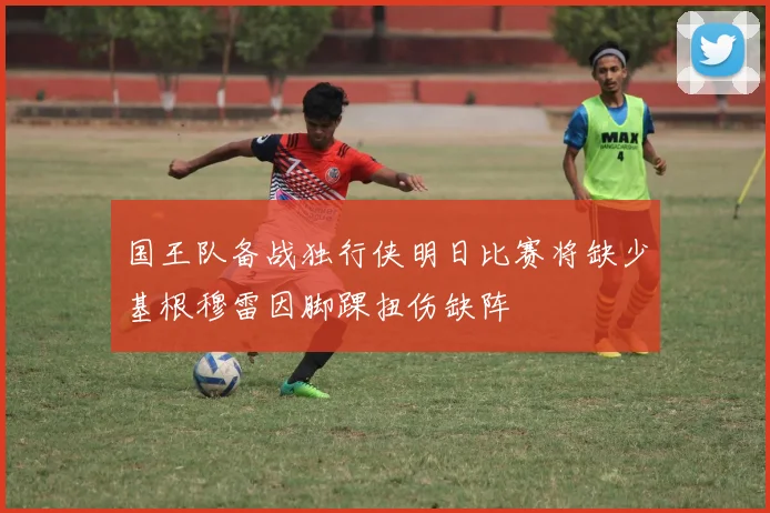 国王队备战独行侠明日比赛将缺少基根穆雷因脚踝扭伤缺阵